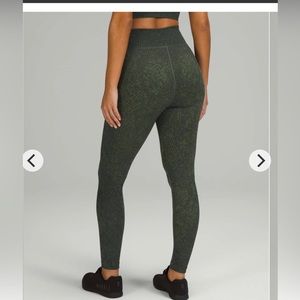 NWT Ebb to Train SHR Tight 25”